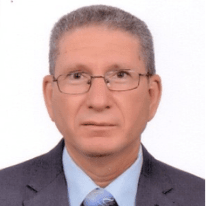 Ali Hassan Ibrahim, Port Said University