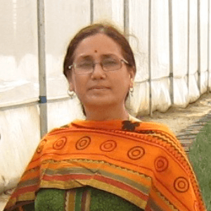 Sunita Chandel