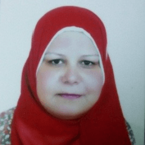 Abeer Abdelaty Ahmed Mohammed