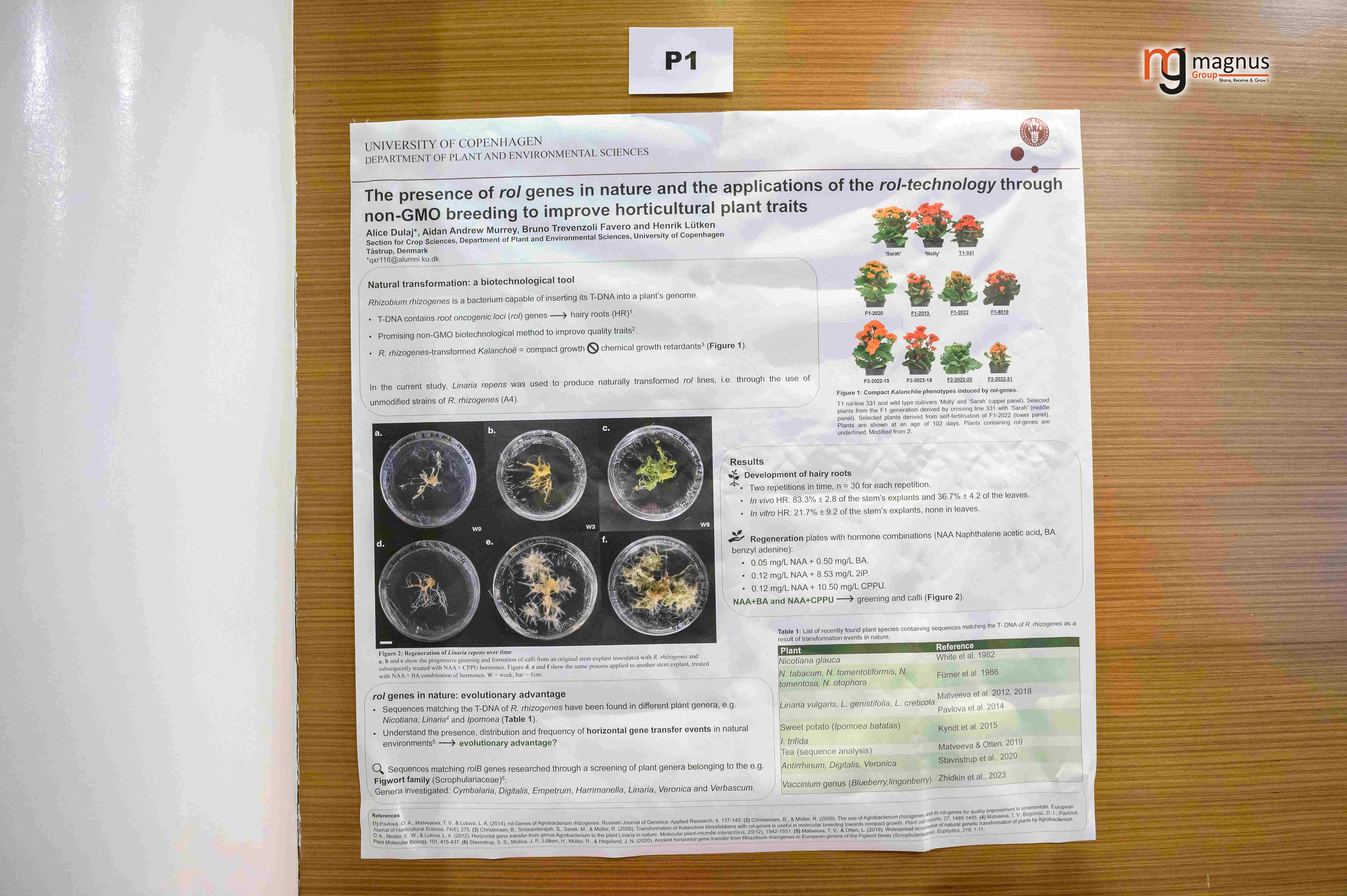 Plant Biotechnology Conferences