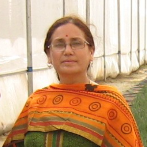 Sunita Chandel, Speaker at Plant Events
